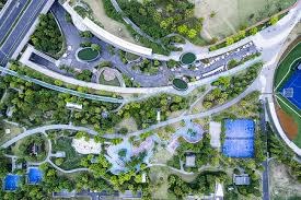 中国女棒为何持续进步